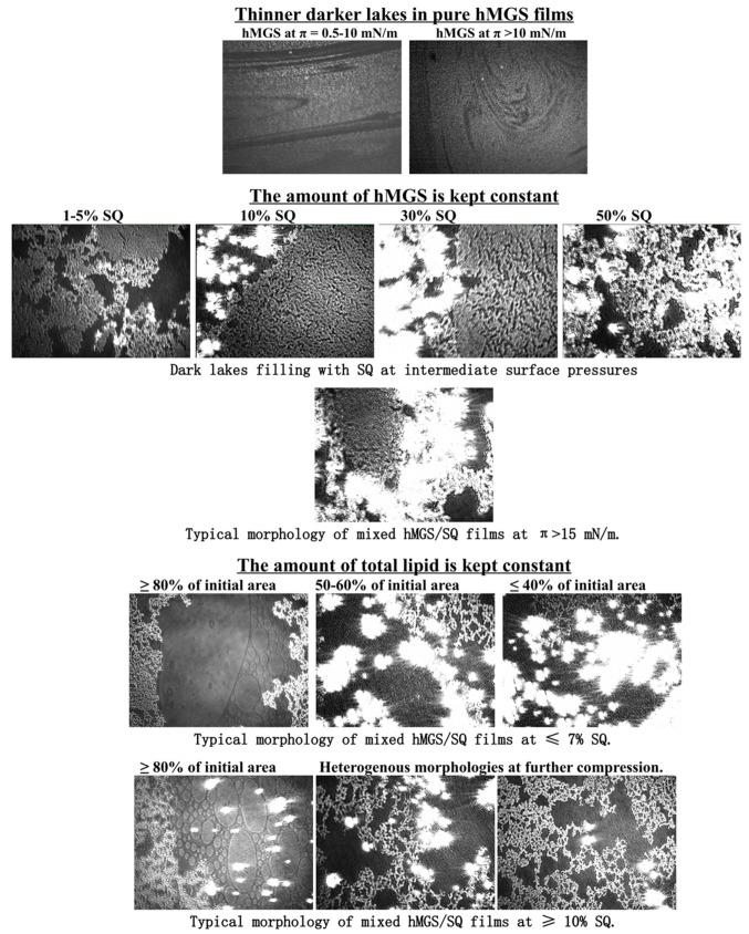 https://cdn.ncbi.nlm.nih.gov/pmc/blobs/4ba2/4613282/157837dae614/ijms-16-21813-g007.jpg