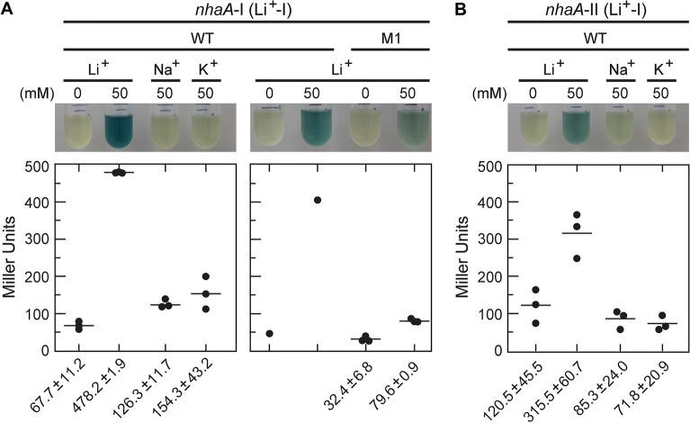 https://cdn.ncbi.nlm.nih.gov/pmc/blobs/4ba2/9646797/5fe29b7eb7b2/41598_2022_20695_Fig3_HTML.jpg