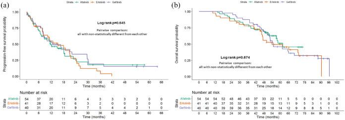 https://cdn.ncbi.nlm.nih.gov/pmc/blobs/4ba3/9619270/13038ac1ac6d/10.1177_17534666221132731-fig4.jpg