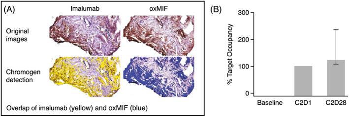 https://cdn.ncbi.nlm.nih.gov/pmc/blobs/4ba6/7444762/1eec92c7a656/BCP-86-1836-g004.jpg