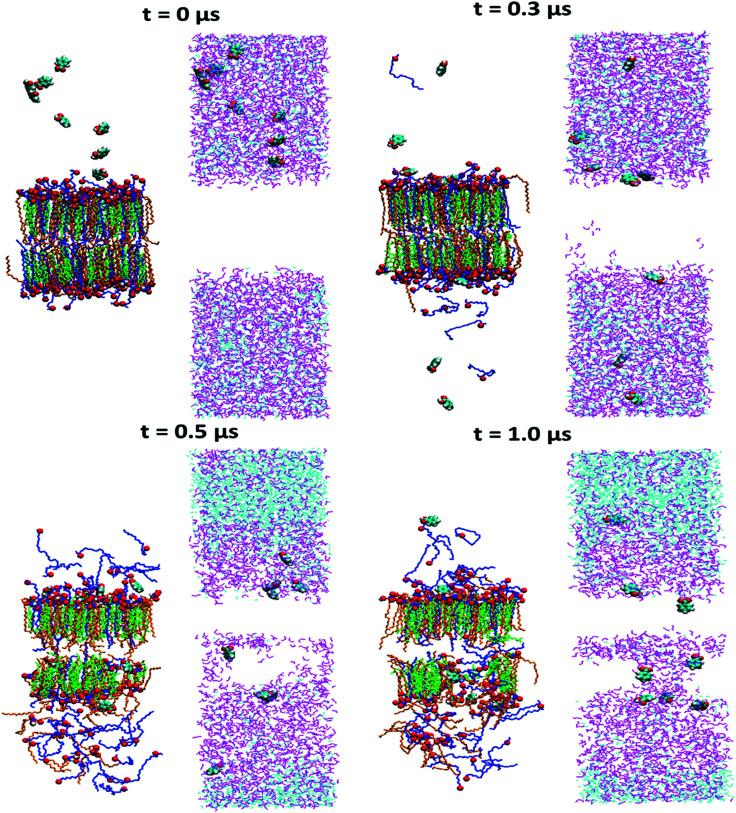 https://cdn.ncbi.nlm.nih.gov/pmc/blobs/4ba8/9050718/3d8bc4092556/d0ra01692f-f9.jpg