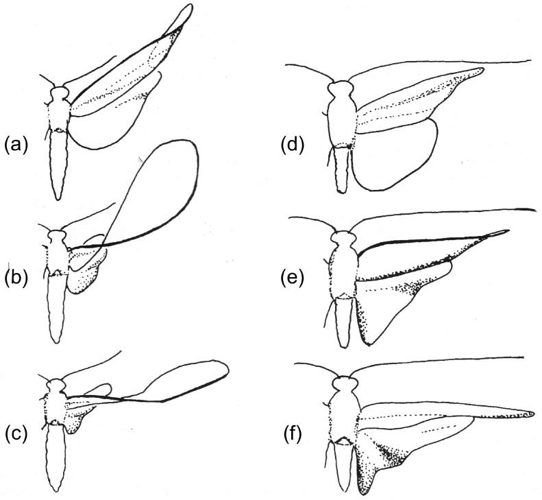 https://cdn.ncbi.nlm.nih.gov/pmc/blobs/4ba9/7412480/7a89d0ebb82a/insects-11-00446-g002.jpg