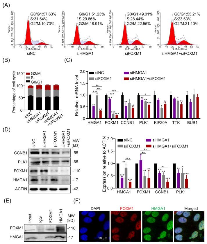 https://cdn.ncbi.nlm.nih.gov/pmc/blobs/4bab/10223534/4bcd4dcf47d6/life-13-01225-g003.jpg