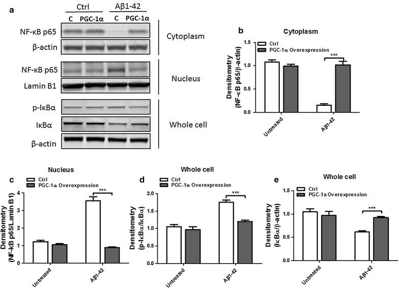 https://cdn.ncbi.nlm.nih.gov/pmc/blobs/4bac/5612334/bd059ce89a42/12868_2017_387_Fig4_HTML.jpg
