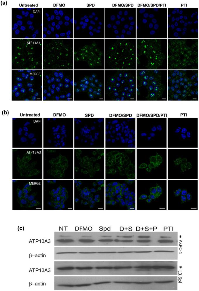 https://cdn.ncbi.nlm.nih.gov/pmc/blobs/4bac/8904813/40d087450c91/41598_2022_7712_Fig2a_HTML.jpg