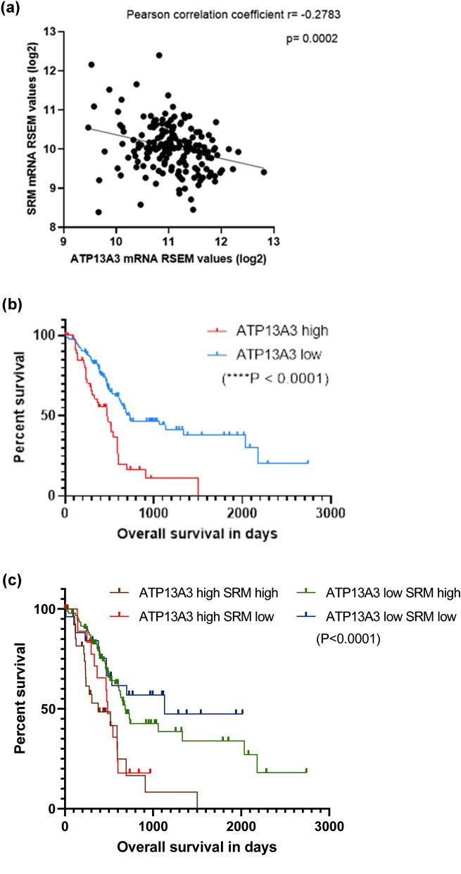 https://cdn.ncbi.nlm.nih.gov/pmc/blobs/4bac/8904813/a46f76460d93/41598_2022_7712_Fig5_HTML.jpg