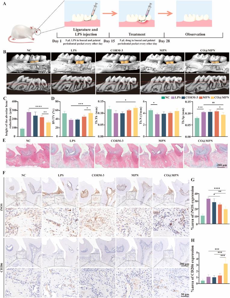 https://cdn.ncbi.nlm.nih.gov/pmc/blobs/4bad/12396554/b7bf977a0365/gr6.jpg