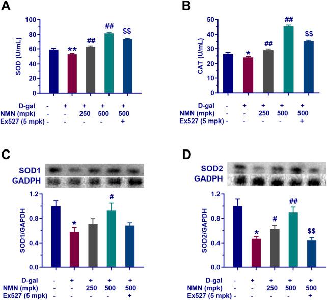 https://cdn.ncbi.nlm.nih.gov/pmc/blobs/4bb0/12018880/2fcbff19b397/fphar-16-1545585-g003.jpg