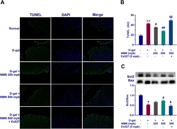 https://cdn.ncbi.nlm.nih.gov/pmc/blobs/4bb0/12018880/a201b0766e70/fphar-16-1545585-g008.jpg