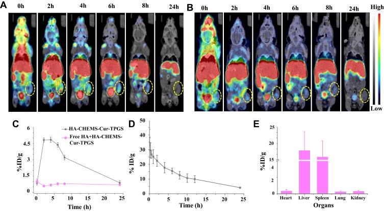 https://cdn.ncbi.nlm.nih.gov/pmc/blobs/4bb0/7200226/e3a5b6a74b4b/IJN-15-2987-g0005.jpg