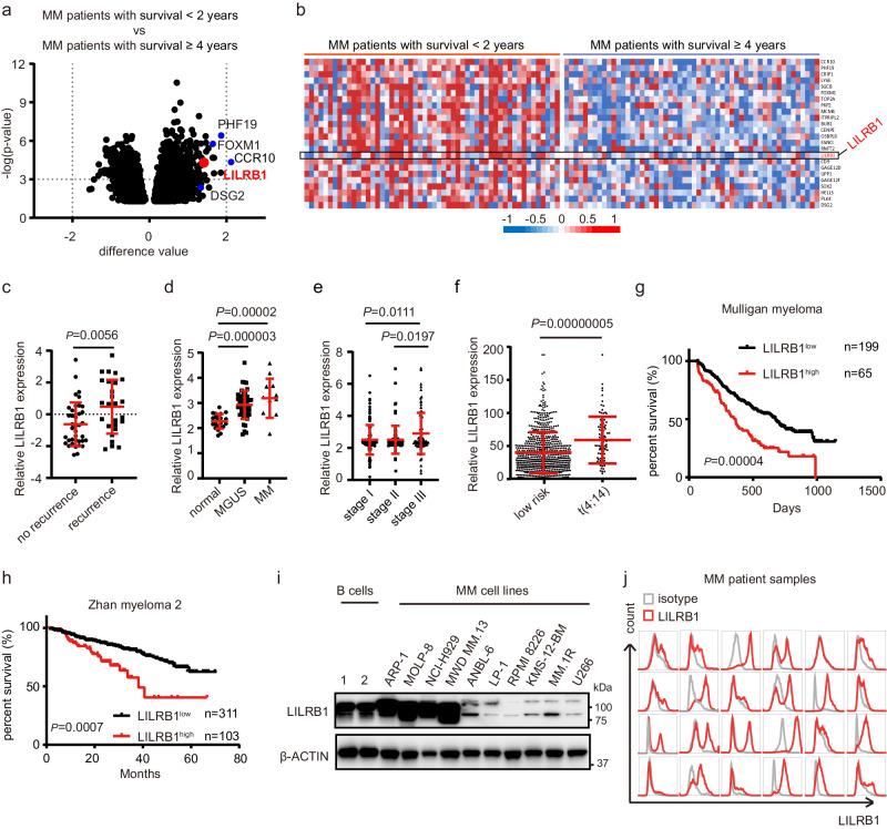 https://cdn.ncbi.nlm.nih.gov/pmc/blobs/4bb1/11233649/2b00cd9007ad/41467_2024_50073_Fig1_HTML.jpg