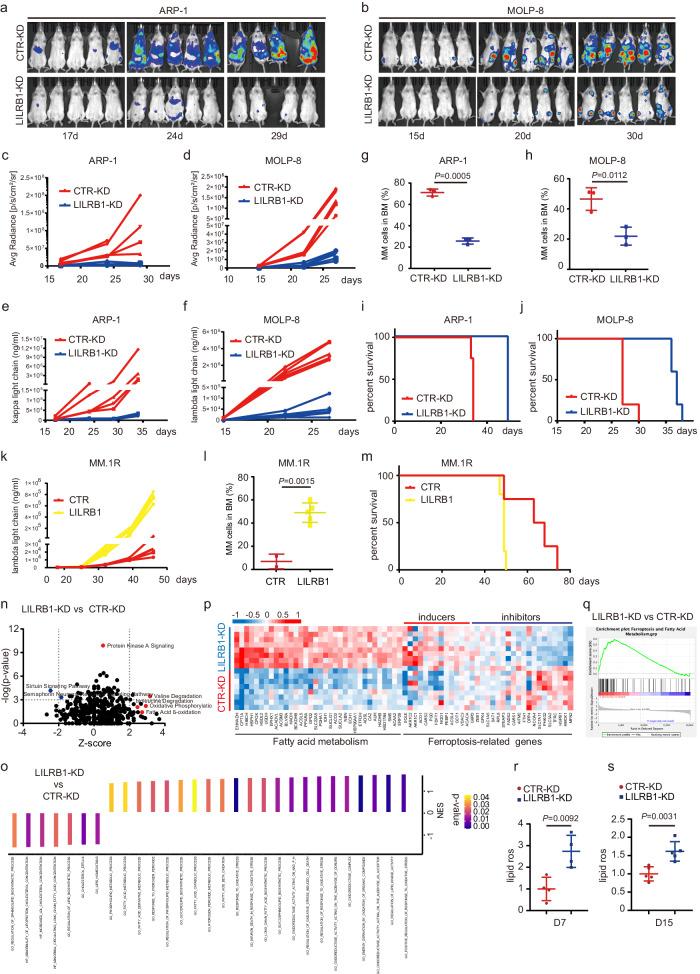 https://cdn.ncbi.nlm.nih.gov/pmc/blobs/4bb1/11233649/481a73d0550c/41467_2024_50073_Fig2_HTML.jpg