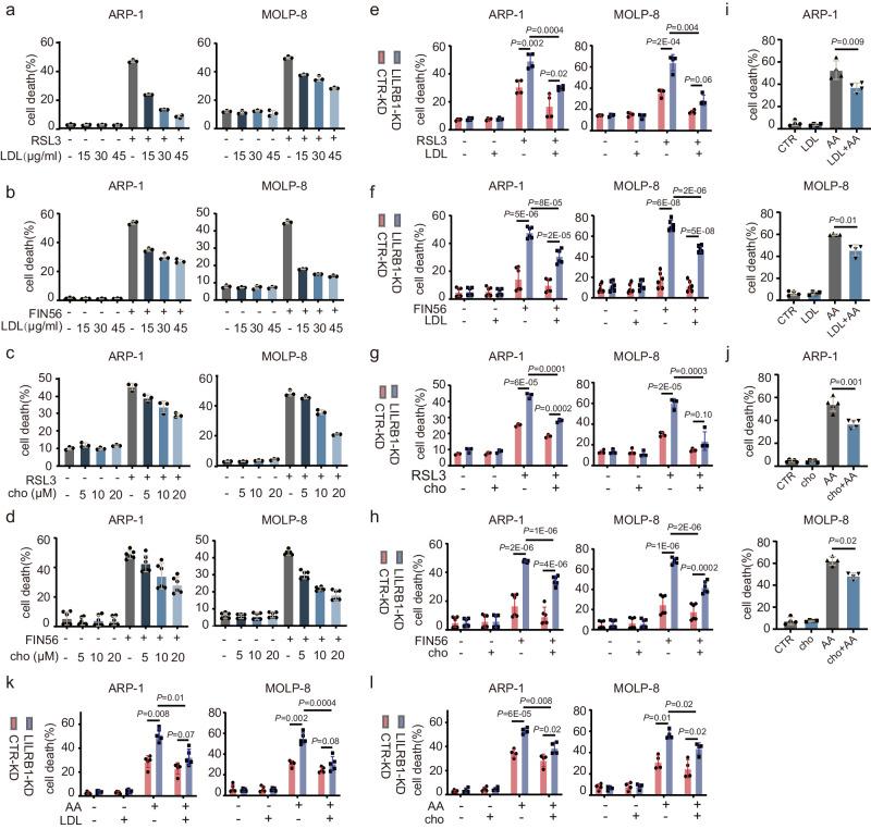 https://cdn.ncbi.nlm.nih.gov/pmc/blobs/4bb1/11233649/859d9f19820f/41467_2024_50073_Fig5_HTML.jpg
