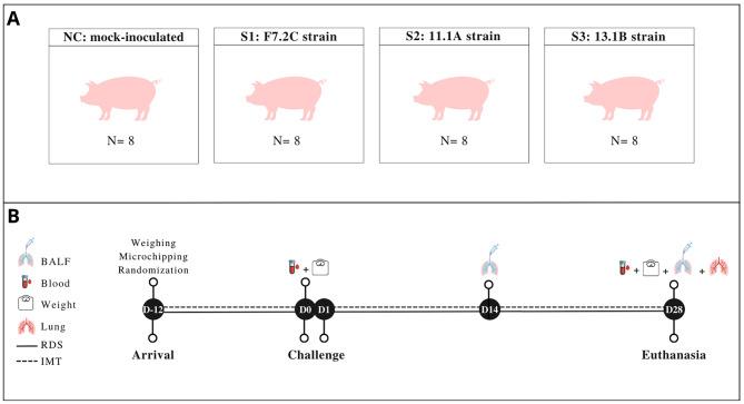 https://cdn.ncbi.nlm.nih.gov/pmc/blobs/4bb1/11342468/08d764a0bcab/40813_2024_381_Fig3_HTML.jpg