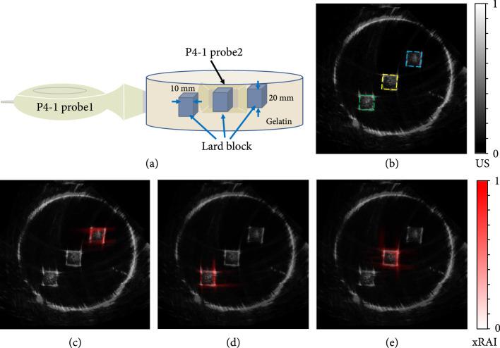 https://cdn.ncbi.nlm.nih.gov/pmc/blobs/4bb7/10521688/6d37181ee202/9853609.fig.004.jpg