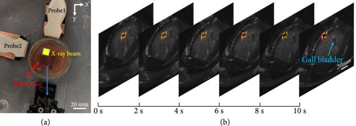 https://cdn.ncbi.nlm.nih.gov/pmc/blobs/4bb7/10521688/93b0079badea/9853609.fig.006.jpg