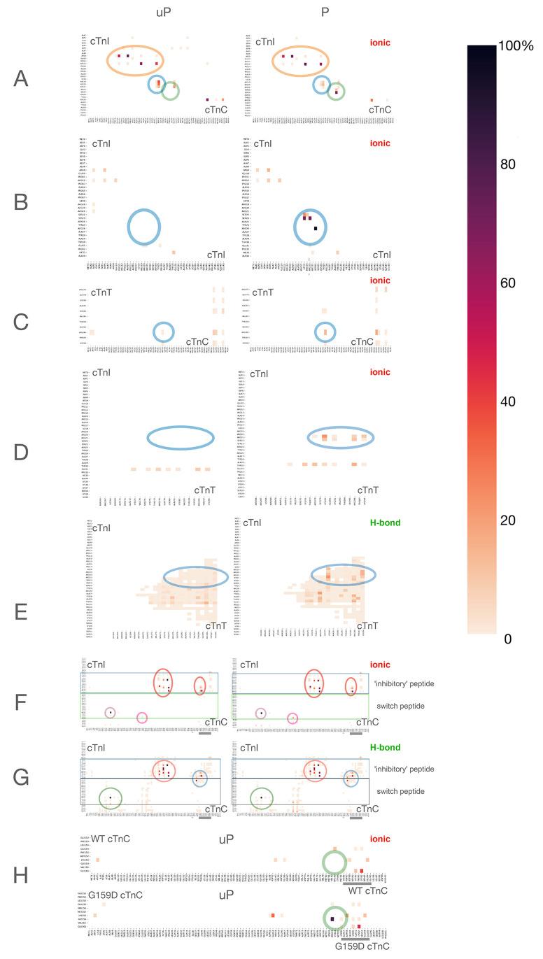 https://cdn.ncbi.nlm.nih.gov/pmc/blobs/4bb7/10591477/3466f0e858c4/jp3c02337_0002.jpg