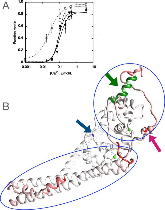 https://cdn.ncbi.nlm.nih.gov/pmc/blobs/4bb7/10591477/42ae66a970ef/jp3c02337_0001.jpg