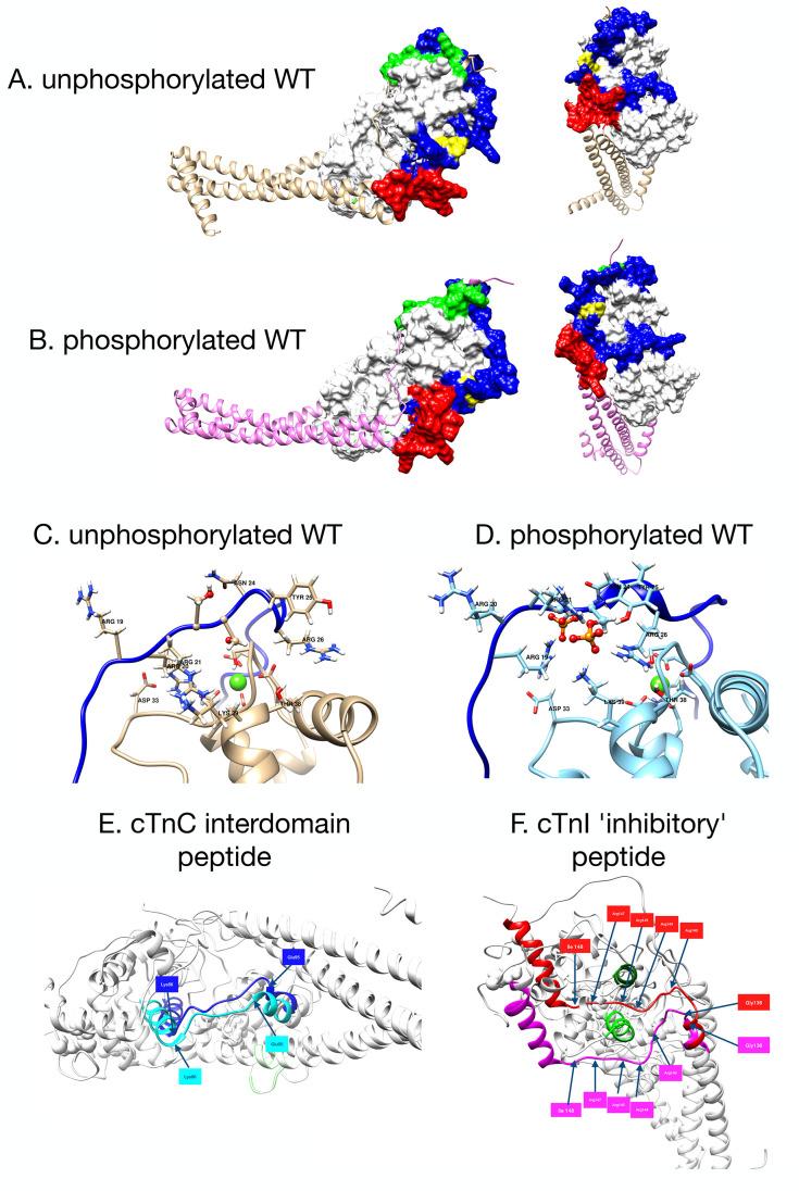 https://cdn.ncbi.nlm.nih.gov/pmc/blobs/4bb7/10591477/87a1f6544072/jp3c02337_0003.jpg