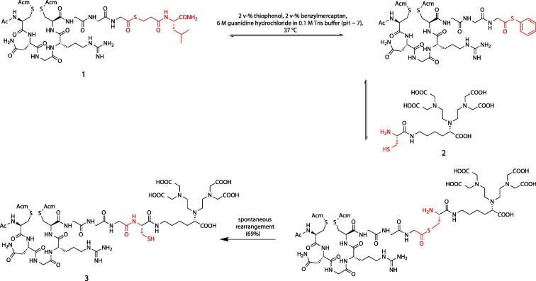 https://cdn.ncbi.nlm.nih.gov/pmc/blobs/4bb9/7125914/28dd638ab21c/gr4.jpg