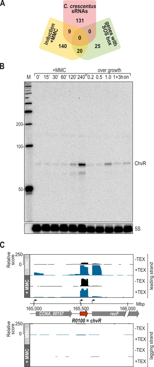 https://cdn.ncbi.nlm.nih.gov/pmc/blobs/4bbc/6237742/410c70d4df51/gky765fig1.jpg