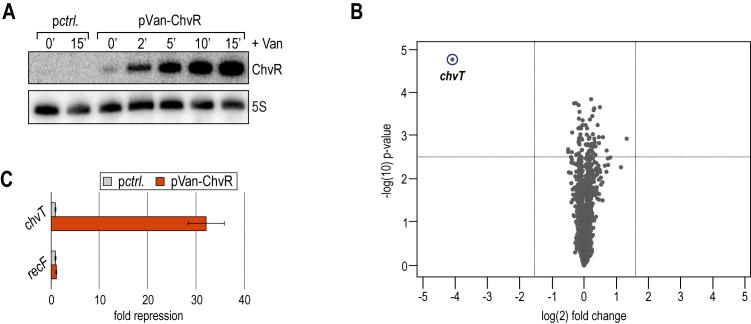 https://cdn.ncbi.nlm.nih.gov/pmc/blobs/4bbc/6237742/7dbc9d428da7/gky765fig3.jpg