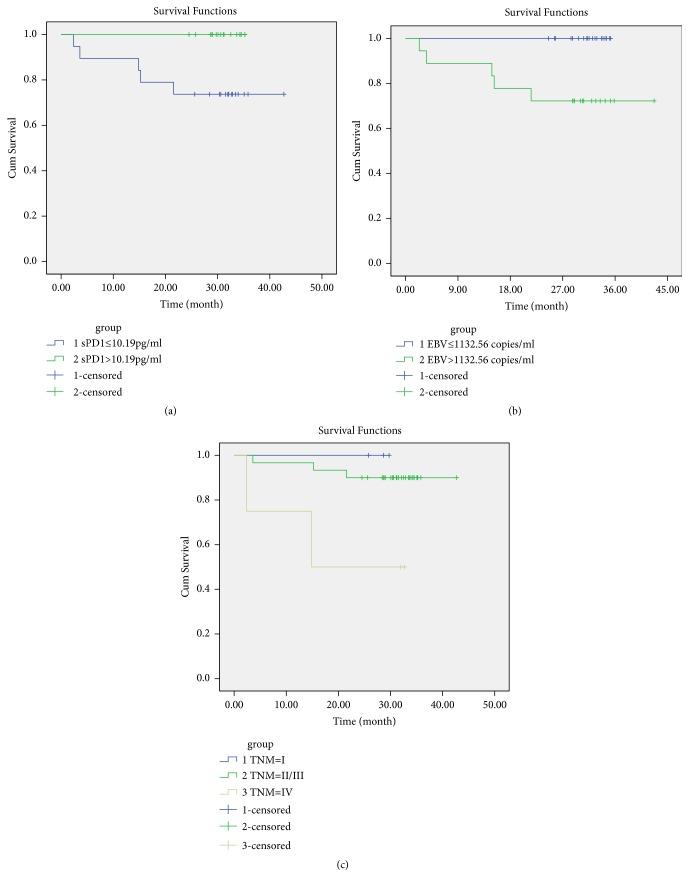 https://cdn.ncbi.nlm.nih.gov/pmc/blobs/4bbc/6525834/181deeffa2db/BMRI2019-3939720.004.jpg