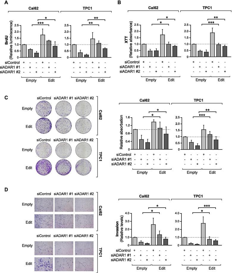 https://cdn.ncbi.nlm.nih.gov/pmc/blobs/4bbe/8424981/10cdba513af4/12943_2021_1401_Fig6_HTML.jpg