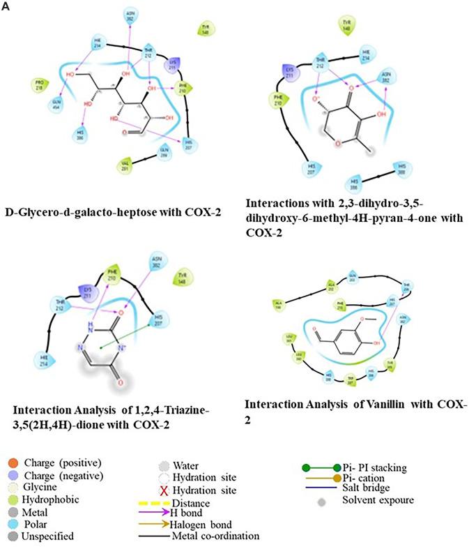 https://cdn.ncbi.nlm.nih.gov/pmc/blobs/4bc0/11832780/666845f0abe3/41598_2025_88417_Fig7a_HTML.jpg