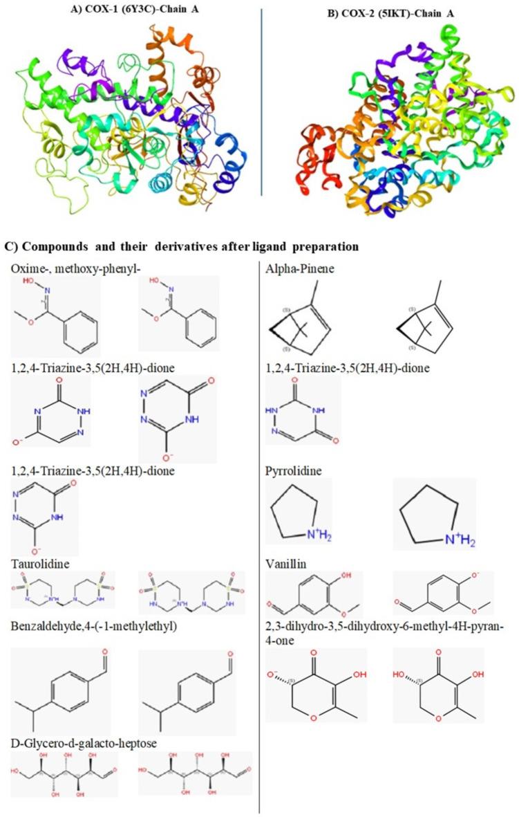 https://cdn.ncbi.nlm.nih.gov/pmc/blobs/4bc0/11832780/8963593dbb9e/41598_2025_88417_Fig1_HTML.jpg