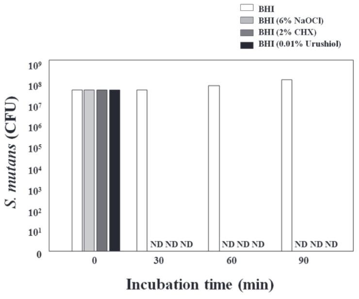 https://cdn.ncbi.nlm.nih.gov/pmc/blobs/4bc1/12157560/50268e65ed31/polymers-17-01500-g005.jpg