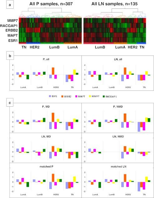 https://cdn.ncbi.nlm.nih.gov/pmc/blobs/4bc3/3568476/500c2ef9c402/428_2012_1357_Fig3_HTML.jpg