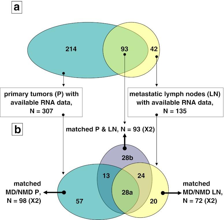 https://cdn.ncbi.nlm.nih.gov/pmc/blobs/4bc3/3568476/78d8496aac87/428_2012_1357_Fig1_HTML.jpg