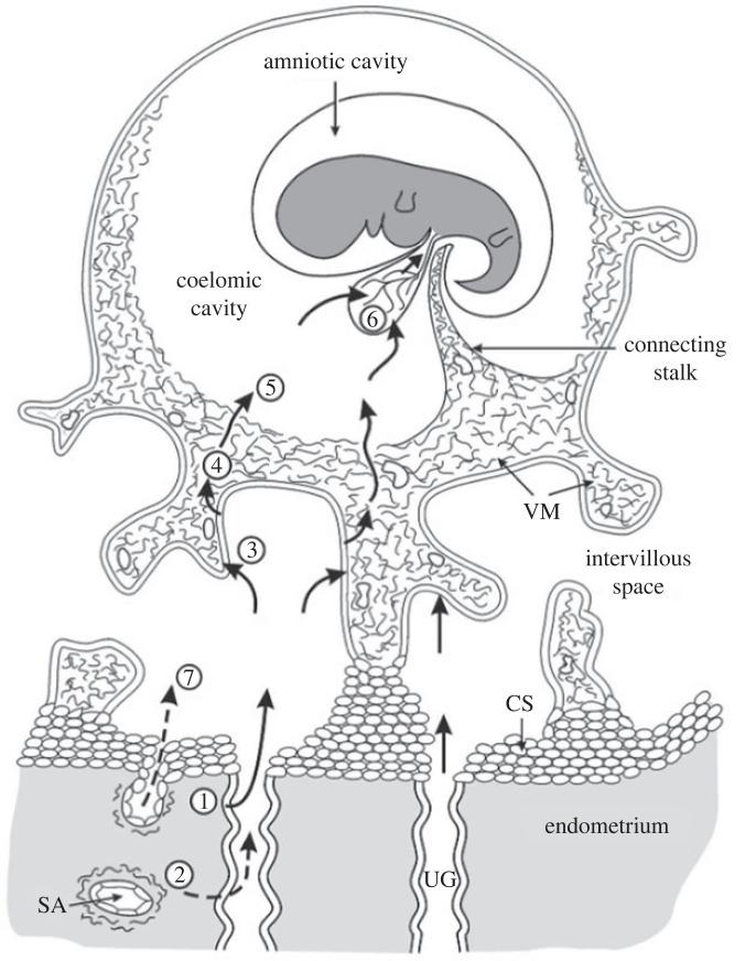 https://cdn.ncbi.nlm.nih.gov/pmc/blobs/4bc5/10113033/447ed7a78219/rspb20230191f03.jpg