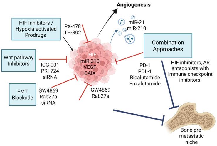 https://cdn.ncbi.nlm.nih.gov/pmc/blobs/4bc5/12347711/a0946a44ed6c/ijms-26-07452-g003.jpg