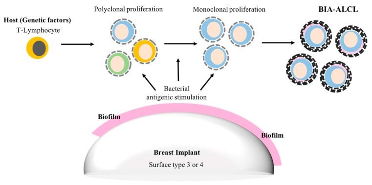 https://cdn.ncbi.nlm.nih.gov/pmc/blobs/4bc5/6316940/595a84fe3bd7/materials-11-02393-g002.jpg