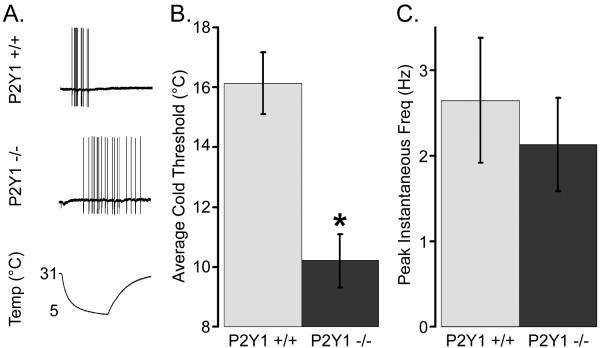 https://cdn.ncbi.nlm.nih.gov/pmc/blobs/4bc6/3049184/3711f7a1f40b/1744-8069-7-13-3.jpg