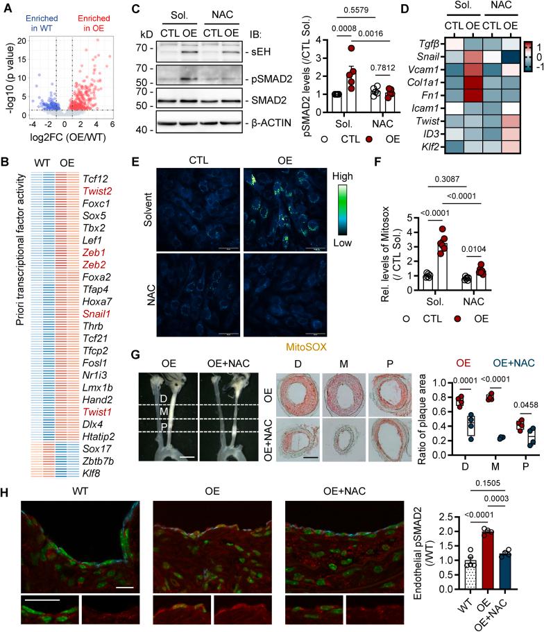 https://cdn.ncbi.nlm.nih.gov/pmc/blobs/4bca/12214128/98bd2e9067ee/gr5.jpg