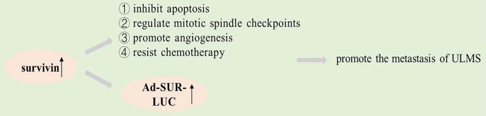 https://cdn.ncbi.nlm.nih.gov/pmc/blobs/4bcb/11134592/2cb3c70dfcb7/ijmsv21p1227g003.jpg