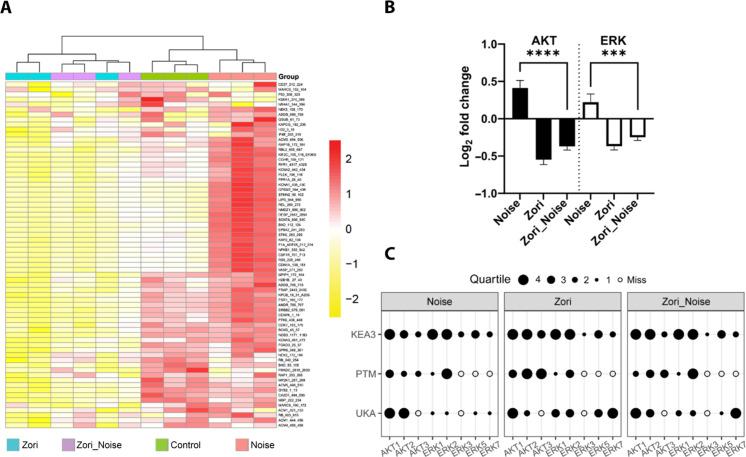 https://cdn.ncbi.nlm.nih.gov/pmc/blobs/4bcb/11186505/53de11d081e2/sciadv.adk2299-f8.jpg
