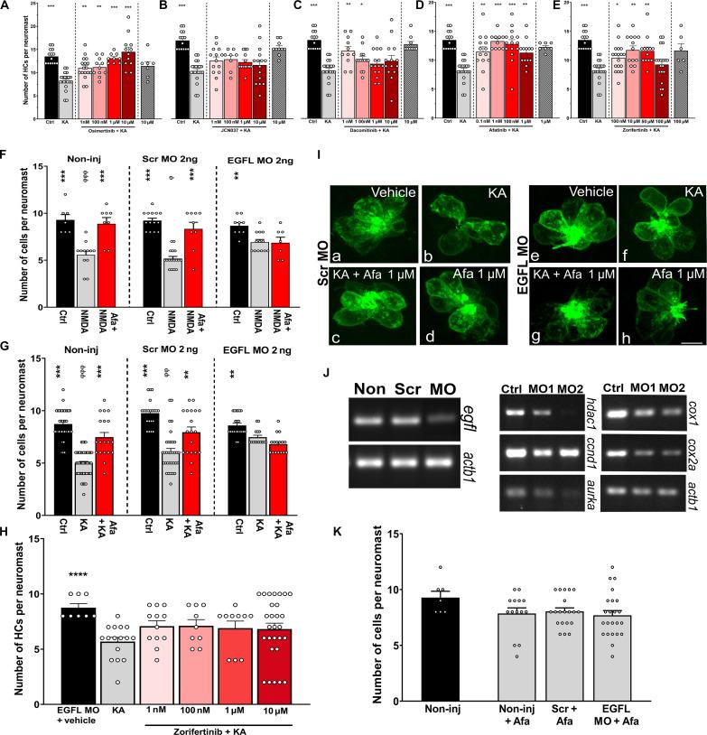 https://cdn.ncbi.nlm.nih.gov/pmc/blobs/4bcb/11186505/695f7ae5009c/sciadv.adk2299-f3.jpg