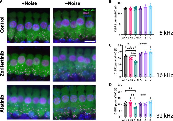https://cdn.ncbi.nlm.nih.gov/pmc/blobs/4bcb/11186505/9170fd2cd9d5/sciadv.adk2299-f5.jpg
