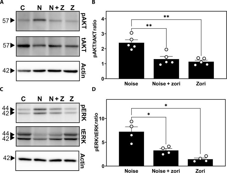 https://cdn.ncbi.nlm.nih.gov/pmc/blobs/4bcb/11186505/f5217fe70658/sciadv.adk2299-f7.jpg