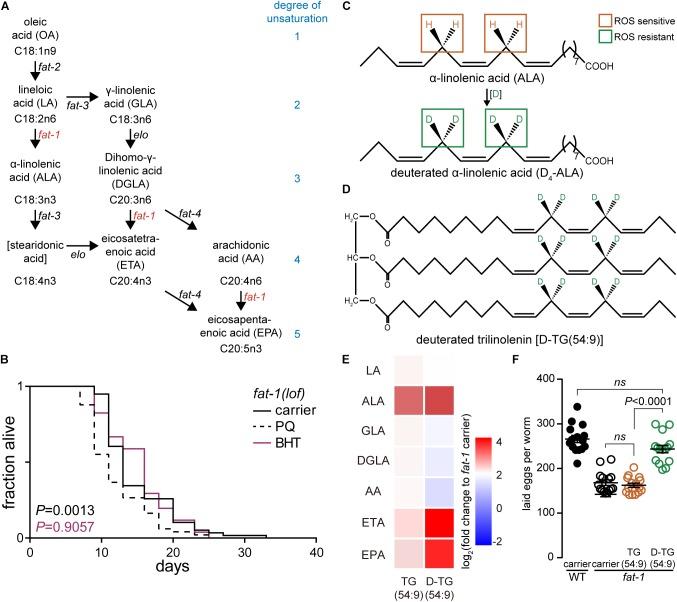 https://cdn.ncbi.nlm.nih.gov/pmc/blobs/4bcb/6546729/07bd92e495d5/fphys-10-00641-g001.jpg