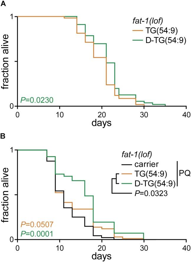 https://cdn.ncbi.nlm.nih.gov/pmc/blobs/4bcb/6546729/2c469388ae43/fphys-10-00641-g004.jpg