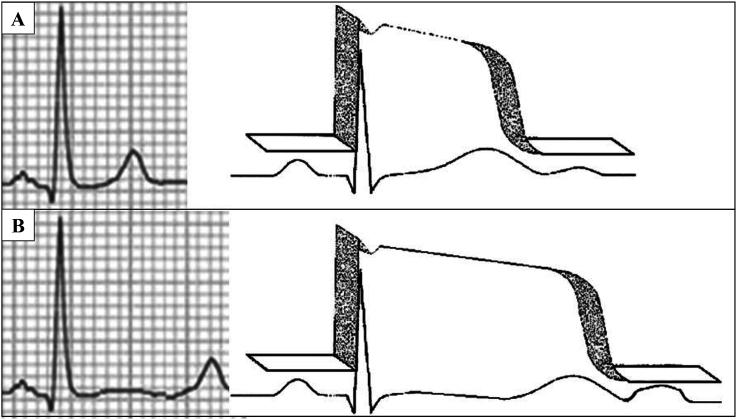 https://cdn.ncbi.nlm.nih.gov/pmc/blobs/4bcd/5840852/a1685a912a81/gr3.jpg