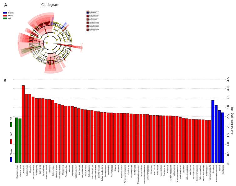 https://cdn.ncbi.nlm.nih.gov/pmc/blobs/4bcf/10970062/da589ff2acda/foods-13-00921-g005.jpg