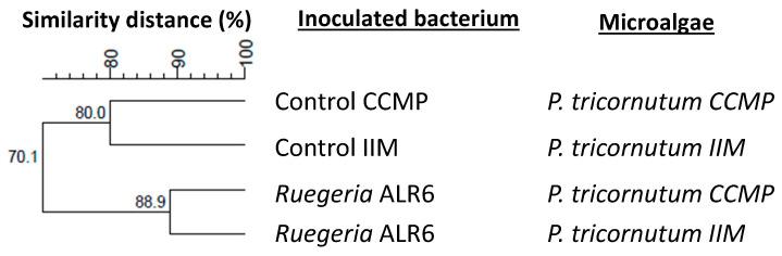 https://cdn.ncbi.nlm.nih.gov/pmc/blobs/4bd0/10673095/14b33e5729e5/microorganisms-11-02715-g008.jpg