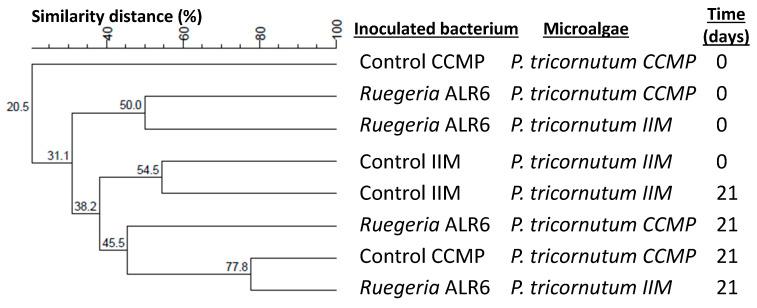 https://cdn.ncbi.nlm.nih.gov/pmc/blobs/4bd0/10673095/d9a5c66f14fc/microorganisms-11-02715-g006.jpg