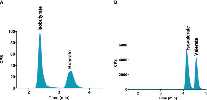 https://cdn.ncbi.nlm.nih.gov/pmc/blobs/4bd3/10334191/e060c3a81497/fonc-13-1110235-g006.jpg